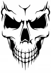 Kleebis autole, mootorrattale v&otilde;i kiivrile SKULL, 21 x 15,1 cm, taustata