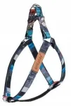 Koera rakmed Amiplay Adventure, reguleeritavad, suurus M, 30-55 x 1,5 cm