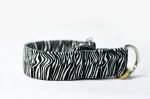 ZEBRA poolreguleeritav poolpingutav koera kaelarihm, 3 cm, kuni 21 cm