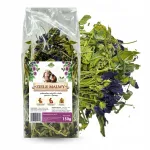 Kuivatatud metsik maasikajuure rohi 150 g, n&auml;rilistele, j&auml;nestele ja meriseadele