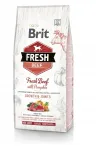 KOERATOIT BRIT Fresh Beef with Pumpkin suurte t&otilde;ugude kutsikatele, 12 kg