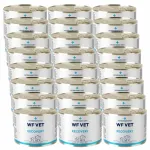 Koerte ja kasside konservid WF VET Recovery 24x200g