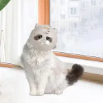 Kassi kaitsev suuhaare, suurus S, liivakarva ja valge toon