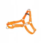 Koera rakmed Amiplay Easy Go Samba, oranžid, XL, 65-95 cm, 2,5 cm laiad
