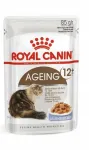 Royal Canin Ageing +12 m&auml;rg toit vanematele kassidele želees, 85 g