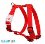 LED koera rihm, punane, suurus S, Moon Style, 20