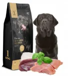 1DOG kuivtoit koertele lambalihaga ja pardalihaga keskmistele ja suurtele t&otilde;ugudele, 12 kg