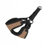 Koera rakmed CHABA Comfort Fashion, karamelliv&auml;rvi, suurus 4