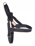 Koerte rakmed LAUREN DESIGN Classic Norwegian, mustad, suurus S