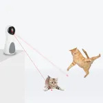 Interaktiivne laser-m&auml;nguasi kassidele, erinevate disainidega
