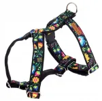 Koera rakmed KENDOG Folklore, S suurus, 2 cm, 35&ndash;50 cm