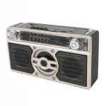 Kaasaskantav Bluetooth FM/AM/SW raadio reisideks