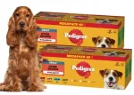 PEDIGREE koeratoidukomplekt erinevate maitsetega želatiinides, 80 x 100 g