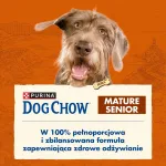 Purina Dog Chow Senior koeratoit kanaga, 2,5 kg