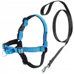 Koerarakmed PetSafe Easy Walk Deluxe, sinine, suurus M