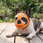 Oranž koerte vile snuudiga buldogidele ja l&uuml;hinokalistetele, suurus L