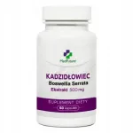 Toidulisand MedFuture Boswellia Extract 650mg, 60 kapslit