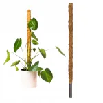 Kookose tugi Monstera taimede varrele 80 cm, 1 tk