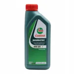 Castrol Professional E 5W-20 mootori&otilde;li, 1 l
