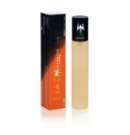 Meeste parf&uuml;&uuml;mid 33 ml must