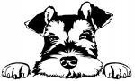 Auto kleeps &bdquo;SCHNAUCER&ldquo;, 17,7 x 29 cm