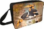 &Otilde;lakott Concave casque Hornbill Joseph Wolf