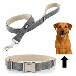 V&auml;ikese koera jalutusrihma ja kaelarihma komplekt HUGGY DOGGY, hall, XS