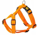 Koerarihmad DINGO GUARD ENERGY, oranžid, suurus S, kahe pandlaga