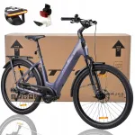 Elektrijalgratas BAFANG TTGO Z5, 250W, 36V, 18Ah, 27,5"