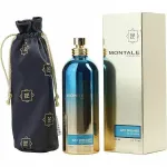 Unisex parf&uuml;&uuml;mvesi Montale Paris Day Dreams, 100 ml