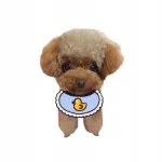 V&auml;rviline koera bandana COMICDOG DUCK