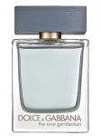 Dolce Gabbana The One Gentleman Edt 100 ml meeste parf&uuml;&uuml;mvesi