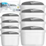 Veefiltrite komplekt WESSPER AQUAMAX PROTECT 8 tk k&otilde;vale veele BRITA ja DAFI kannudele