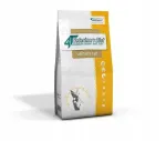 Kuivtoit kassidele VETEXPERT Cat Urinary, 2 x 6 kg