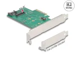 Adapterkaart NVMe M.2 (PCIe x4 kuni 1x) Delock 89381