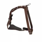 Koera nahast rakmed Dingo SOFT, 70-97 cm