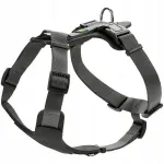 Koera rakmed Hunter Aalborg, suurus S, mustad