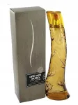 Meeste tualettvesi Cafe Cafe Puro Woody Fruit 50 ml