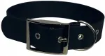 Koera kaelarihm Biothane, 50&ndash;60 cm, 40 mm, metallist pandlaga