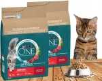 Kuiv toit kassidele PURINA ONE Sterilcat veiselihaga, 2 x 1,4 kg