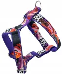 Koera rakmed KENDOG Botanica Guard, suurus S, 2 x 35-50 cm