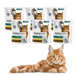 PERFECT FIT Sterile kuivtoit steriliseeritud kassidele kanaga, 6 x 750 g