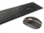 Traadita klaviatuur CHERRY DW 9100 Slim koos hiirega, QWERTY