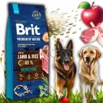 KUIVTOIT koertele Brit Premium by Nature Sensitive Lamb, 15 kg