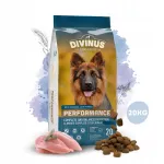 Kuiv koeratoit DIVINUS Performance Labrador, lammas, vitamiinid, 20 kg