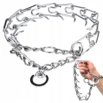 Metallist kaelarihm suurele koerale, 40&ndash;55 cm, L suurus