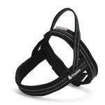 Koerte rakmed Truelove Active M, mustad