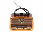 Kaasaskantav analoograadio p&auml;ikeseenergiaga Blow 77-540#