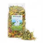 Noorte j&auml;neste toit FACTORYHERBS, 150 g