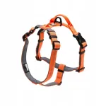 Koera rihmad Truelove Lumen Lite, oranžid, suurus XL